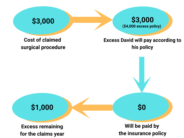 4000 health insurance excess