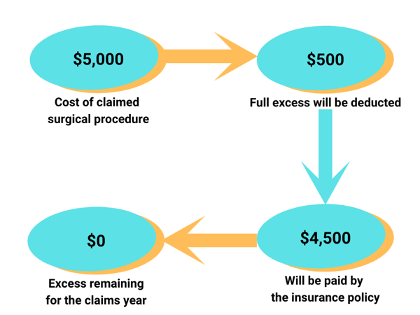 500 health insurance excess